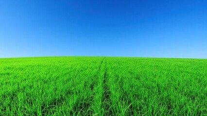 Fototapeta premium Vast Green Field Under Blue Sky: A vibrant green field stretches towards the horizon under a clear, deep blue sky, representing peace and natural beauty.
