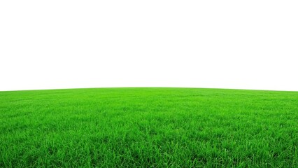 Obraz premium Vast Green Expanse: An endless, vibrant green grass field stretches under a clean white sky, offering a pristine and expansive natural backdrop.