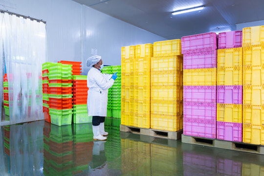 Worker inspects stacks of plastic crates in a cold storage facility, Female manager checking inventory in a food processing warehouse, Warehouse worker organizing plastic pallets in a cold room