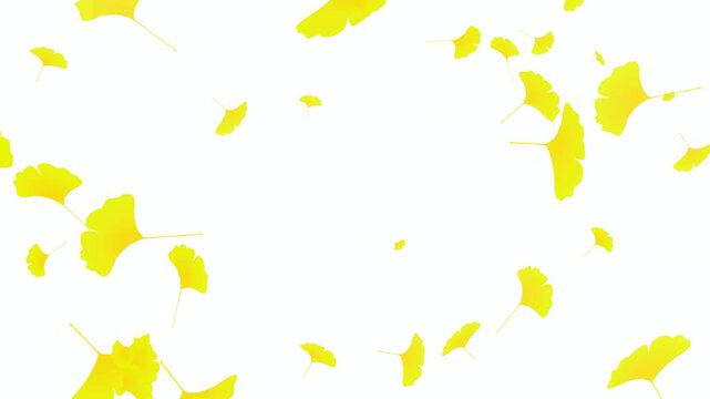 Yellow Ginkgo Leaves Falling 4K