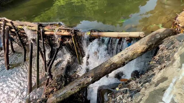 A small check dam composed of bamboo poles and a large log to create a barrier which holds back a shallow pool or greenish water, built across a narrow stream in a lush, tropical environment.