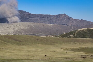 Volcanic crater of Mount Aso with grazing horses, Kumamoto, Japan © 邦宏 石橋