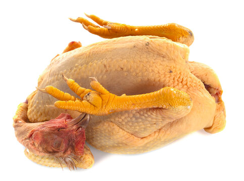 poularde