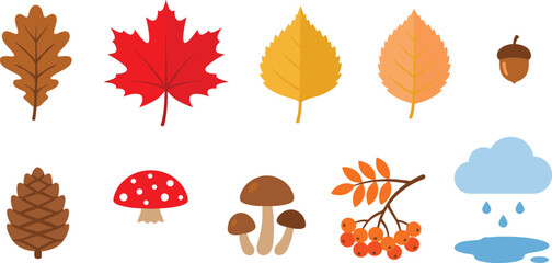 Autumn season nature icon set with colorful fall leaves mushrooms pinecone berry branch and rain cloud vector © Mahan