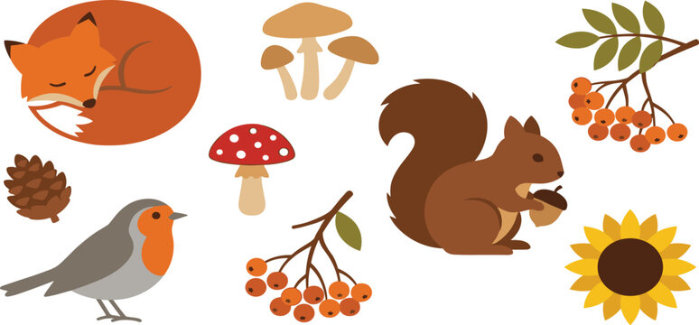 Autumn forest wildlife and nature element set with sleeping fox squirrel robin bird and mushrooms vector