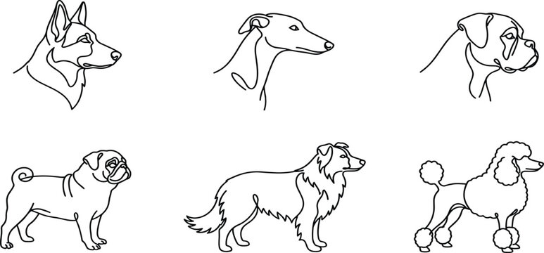 Continuous line art of dog breeds icon set including shepherd greyhound boxer pug collie poodle vector