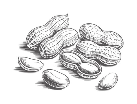 Monochromatic of peanuts in shells and shelled kernels