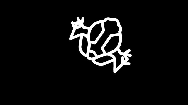 Simple line art illustration of a turtle with a patterned shell on a black background