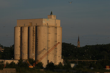 Sunrise Over Waukegan Harbor Silos with Flying Gulls © Christine Donnelly