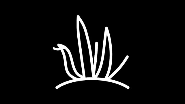 Simple white line drawing of aquatic plants growing from the seabed on a black background