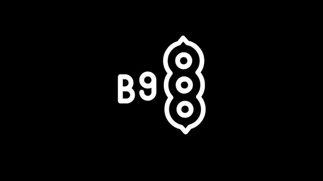 Minimalist white pea pod icon with the letter B and number 9 on black background