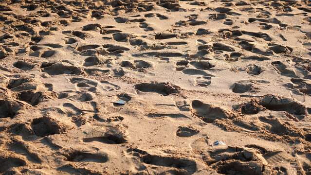 Footprints Imprinted on Wet Sandy Beach Glowing Under Soft Evening Light