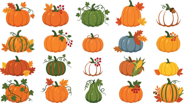 Collection of colorful cartoon pumpkins and gourds for fall decoration