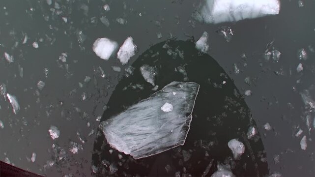 Majestic vessel's bow carves pristine path through shimmering Arctic waters of Svalbard. Ice floes and fragments gracefully drift, marking serene summertime journey across Norway's polar expanse.