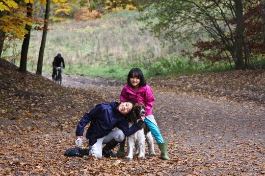 Holte Geels skov in fall