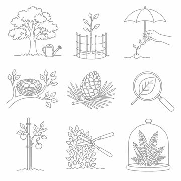 Nine thin line botanical icons showing tree watering, sapling protection, sprout under umbrella, bird nest with eggs, pinecone, leaf study, staked fruit tree, hedge pruning, and plant in glass cloche.