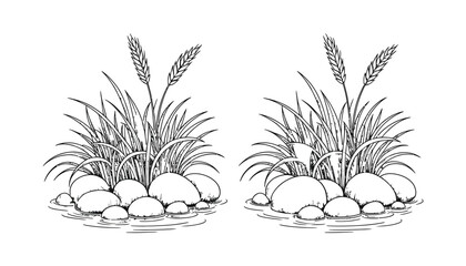 ink grass clumps with stones, reeds, rocks, and pebbles in detailed natural landscape vector illustration ©  