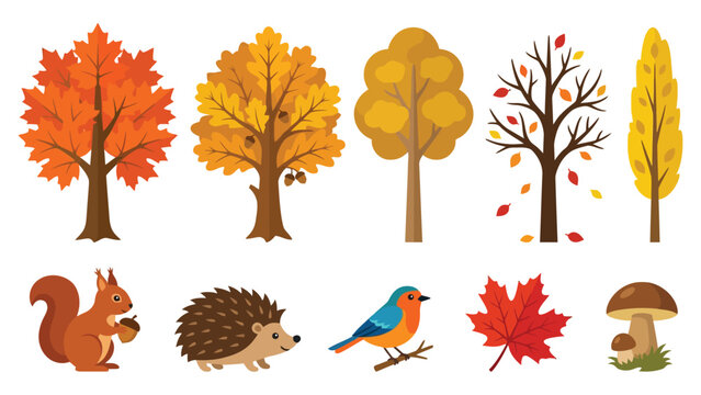 Set of autumn trees and forest animals including a cute squirrel hedgehog bird maple leaf and mushroom in a flat vector style