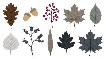 Set of colorful autumn leaves and forest berries with acorns for seasonal nature design elements © azad