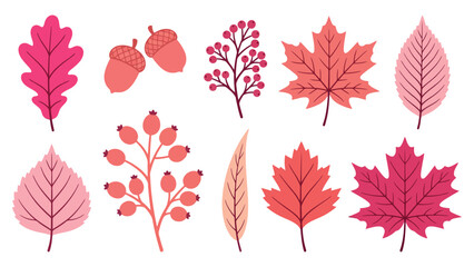 Set of colorful autumn leaves and berries illustration with maple oak and birch shapes in pink orange and red tones © azad