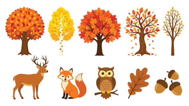 Set of cute autumn forest animals and colorful fall trees with deer fox owl and acorns for seasonal nature design projects