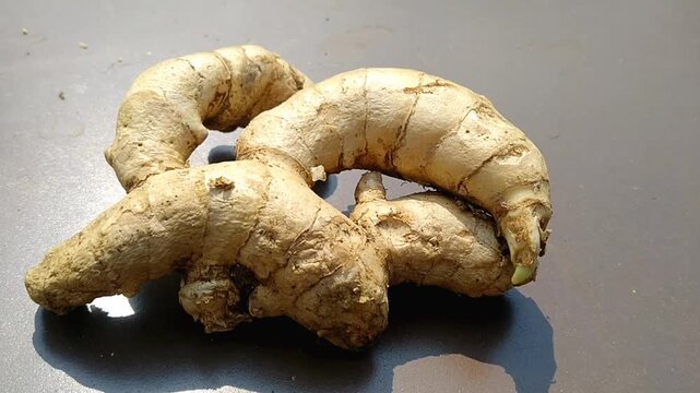 Raw white turmeric roots or Curcuma zedoaria on brown surface