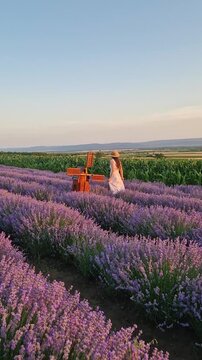 A beautiful pregnant woman walking a blooming lavender field wearing a light dress and straw hat, she looks out over a green cornfield at sunset. Summer evening rural landscape