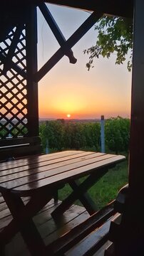 A serene sunset glows over a lush green vineyard, viewed from inside a rustic wooden gazebo. A wooden picnic table and bench in the foreground as the sun sinks toward the peaceful rural horizon