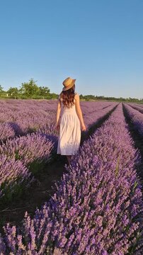 A young woman in a pink summer dress and straw hat walks away into a vast, blooming lavender field. Endless rows of purple lavandula flowers stretching toward the horizon under a clear blue sky