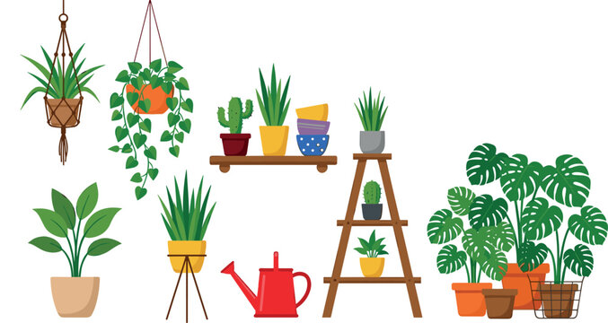 Potted Houseplants Collection with Monstera Cactus and Wooden Ladder Shelf Plant Stand Vectors for Home Gardening and Modern Interior Design Elements