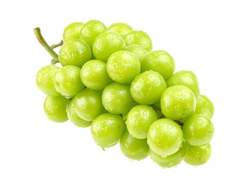 Green grape with water droplets isolated on white. Shine muscat grape.