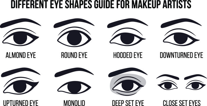 Comprehensive Vector Guide to 8 Different Eye Shapes for Professional Makeup Artists and Cosmetology Education