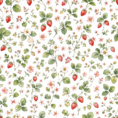 Seamless pattern with watercolor illustration of wild strawberries and white blossoms on white background.