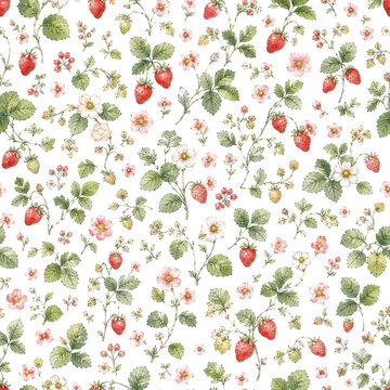 Seamless pattern with watercolor illustration of wild strawberries and white blossoms on white background.