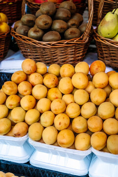 Fresh harvest of golden apricots