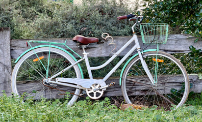 Fototapeta premium Sports bicycle at neighbourhood garden