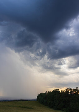 Dramatic storm sky over summer Czech landscape with visible rain curtain and tree silhouettes