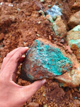 Geologist holding natural unpolished saprolite nickel ore specimen, raw mineral resource for electric vehicle battery industry and metallurgy.
