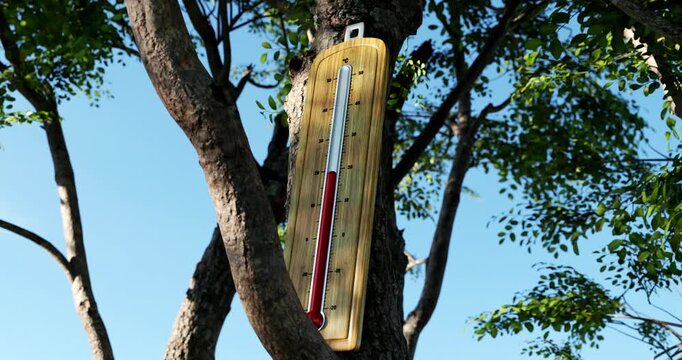 3D animated illustration of wooden thermometer rising to 41 degrees celsius on tree trunk branch during extreme summer heatwave