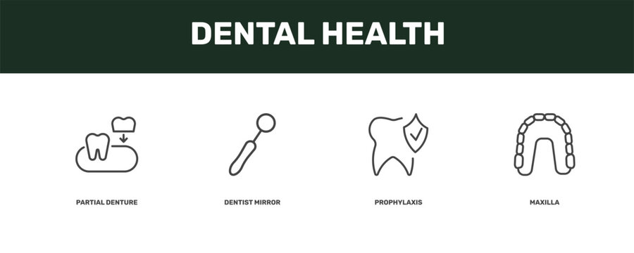 dental health icon set with partial denture, dentist mirror, prophylaxis, maxilla signs in flat outline style