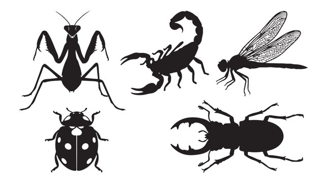 Black insect silhouettes collection, 5 vector bug icons including mantis and scorpion, stag beetle and ladybug graphics for nature design