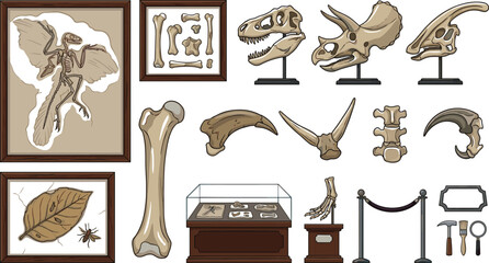 Dinosaur museum exhibits vector illustrations set with prehistoric fossils skulls bones and display cases isolated on white background for educational design © Protima