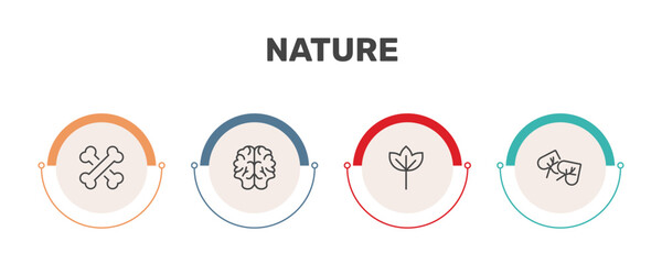 nature icon set with death, human brian, sassafras leaf, cercis leaf signs in flat outline style © Abstract