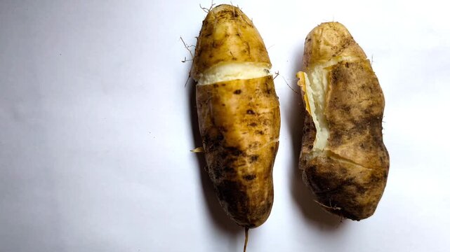 Fresh boiled lesser yam (Dioscorea esculenta) showcasing starchy flesh, earthy flavor, nutritious traditional tropical root vegetable.
