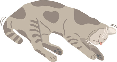 Cute Cat is sleeping Illustration © stu-khaii