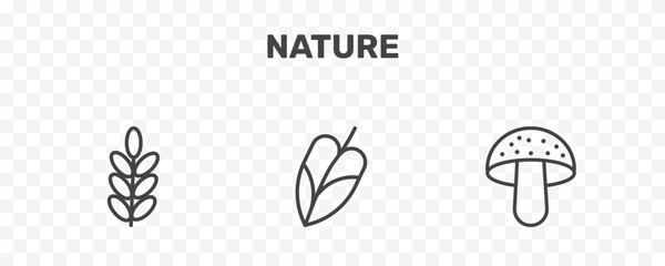 nature icon set with acacia, philodendron, amanita signs in flat outline style © Abstract