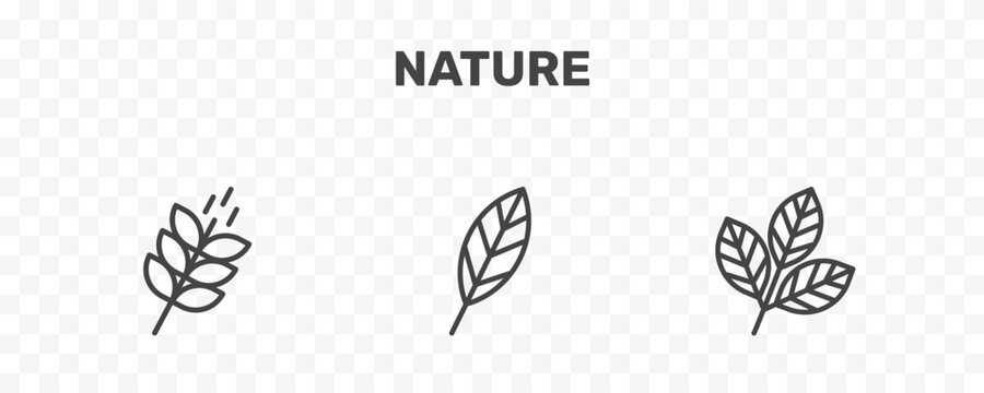 nature icon set with grains, lanceolate, rowan leaf signs in flat outline style