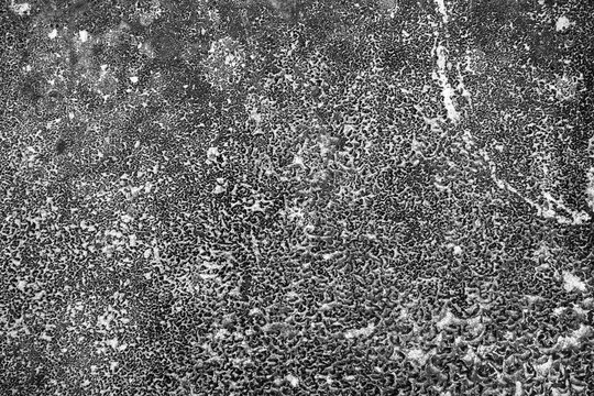grunge abstract rough-textured concrete wall background.