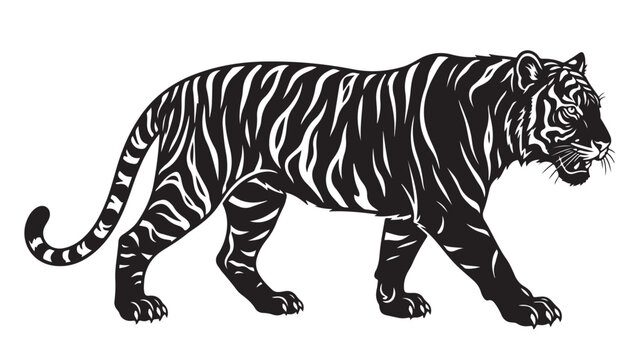 Vintage tiger illustration in black and white woodcut style, walking wild cat predator vector, majestic bengal tiger profile for logo or tattoo design