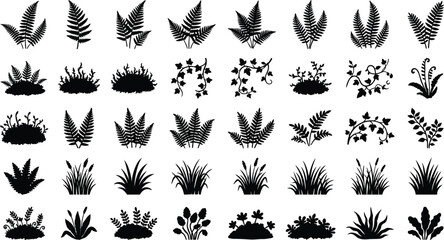 Collection of black silhouette of various plants and foliage fern grass © GT Designs